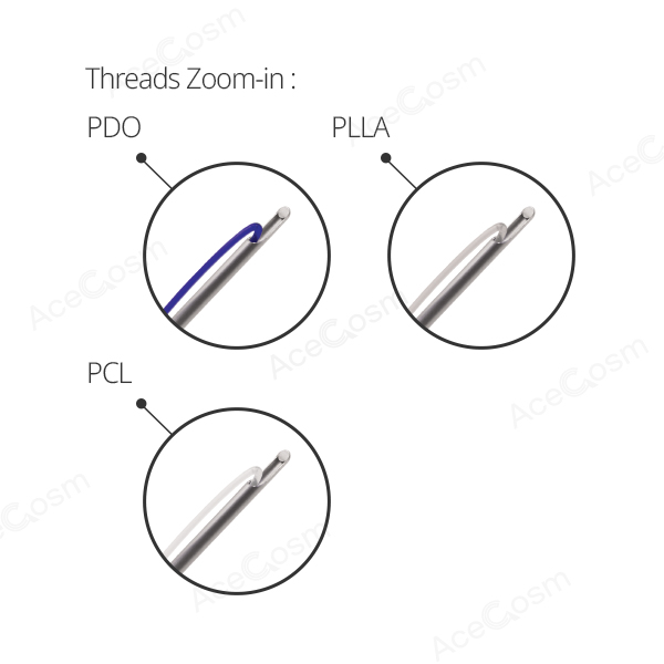 AESTHELINE PDO CANNULA L 21G 60MM [20EA] gallery image